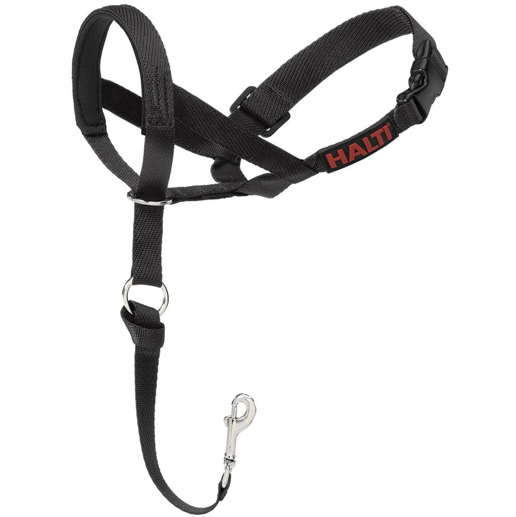 Starmark collar hot sale petsmart