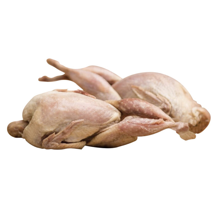 Big Country Raw Whole Quail - 1lb Bag - Image 4