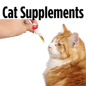 Cat Supplements