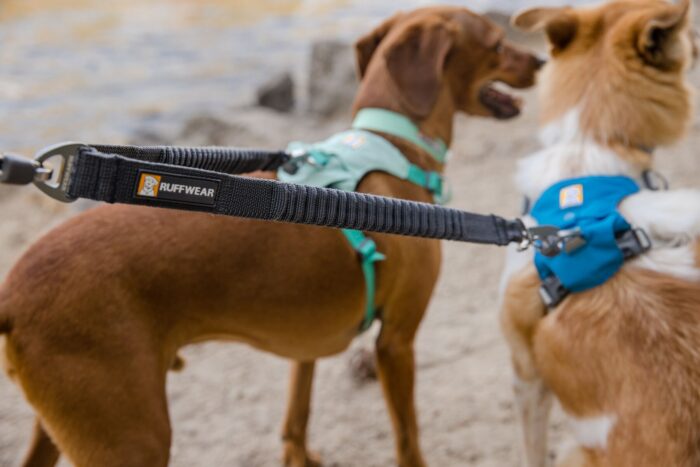 Ruffwear Double Track Coupler - Image 3